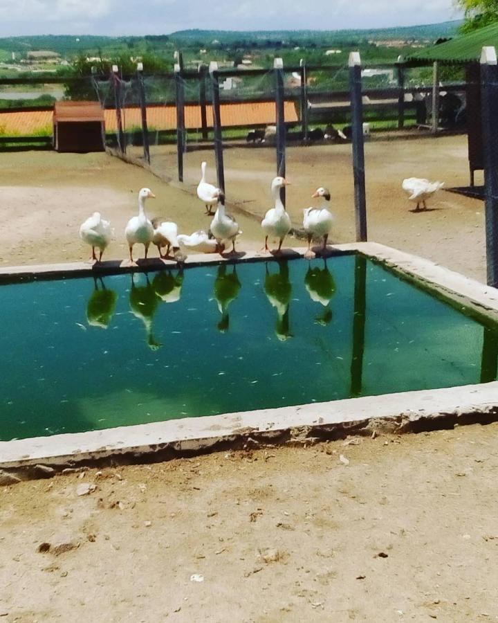 Flat Fazenda Monte Castelo-Ao Lado Da Piscina Leilighet Gravatá Eksteriør bilde